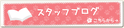 X^btuO