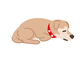 CȂ